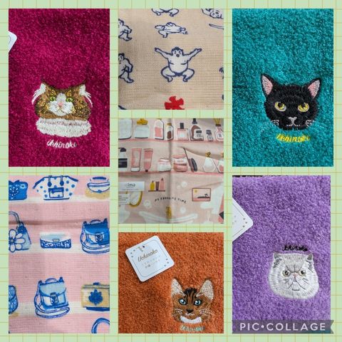 Collage_2025-04-08_17_47_37