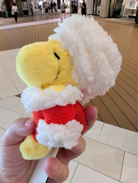 PXL_20251001_110414063~2