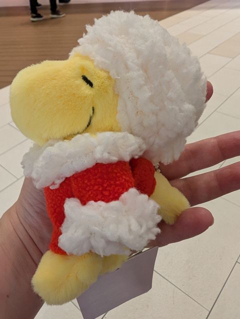 PXL_20251001_110343739