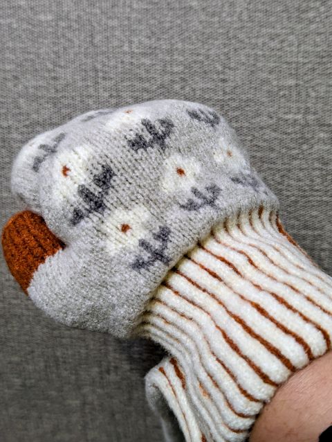 PXL_20251118_115410365.PORTRAIT.ORIGINAL~2