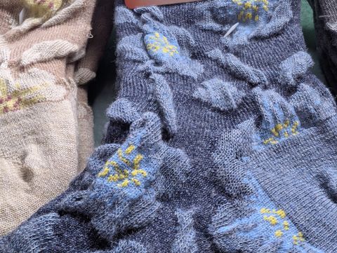 PXL_20251119_055633271