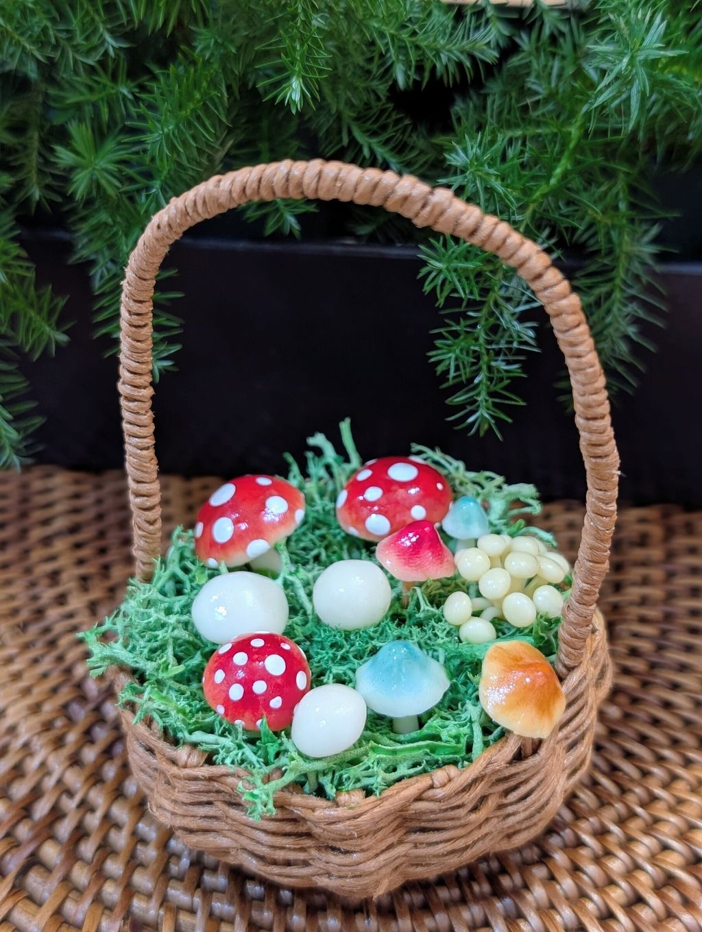 PXL_20251220_123548312.PORTRAIT~2