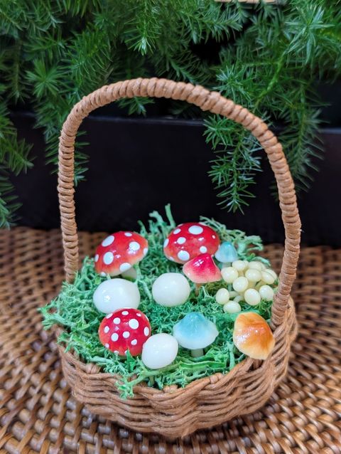 PXL_20251220_123548312.PORTRAIT~2