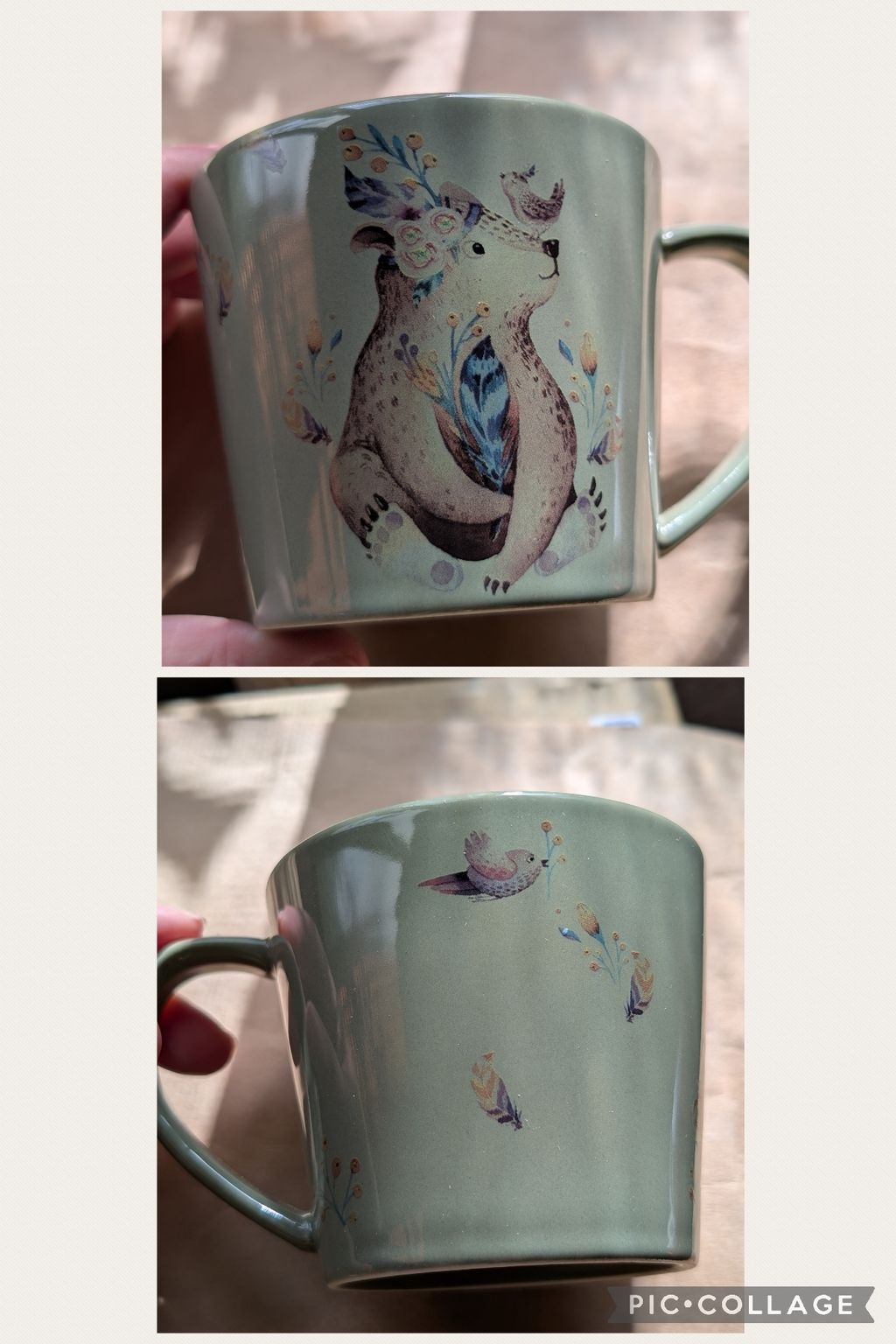 Collage_2026-01-29_15_22_00