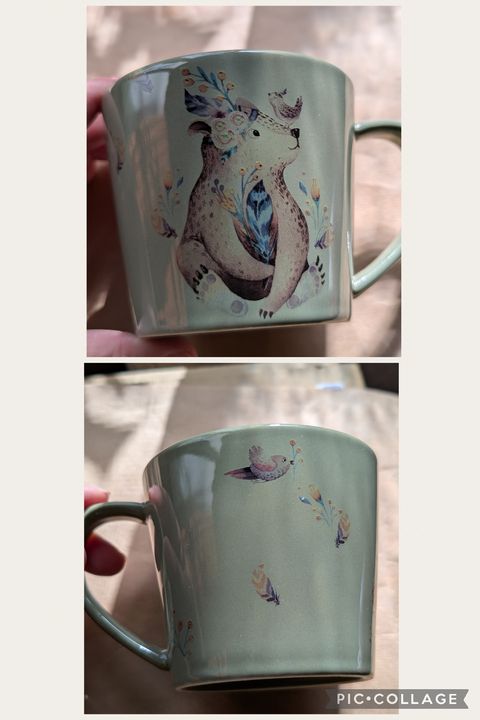 Collage_2026-01-29_15_22_00