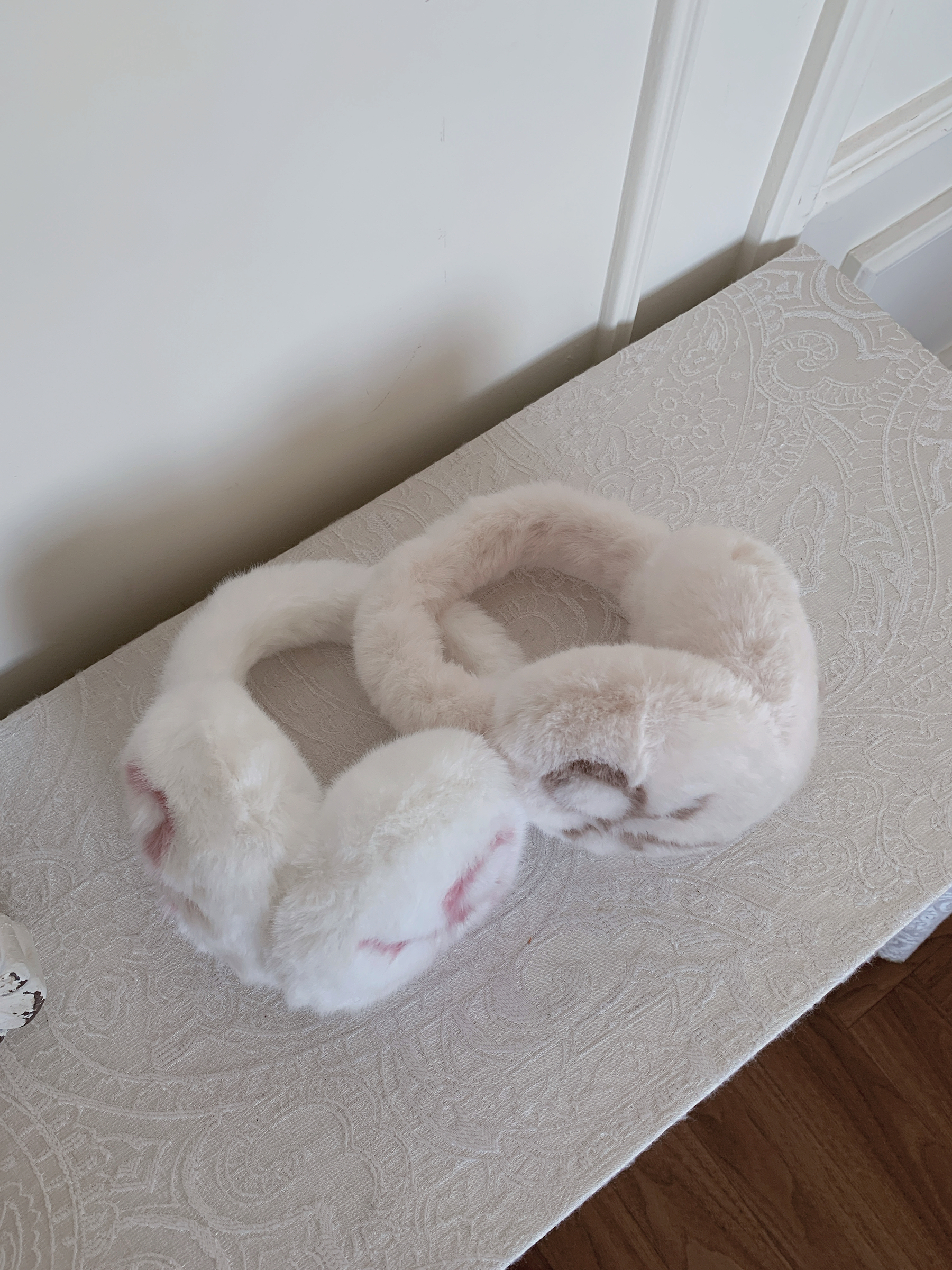 image_891A57A9-9898-46EE-B243-4747D482A984_1765432864