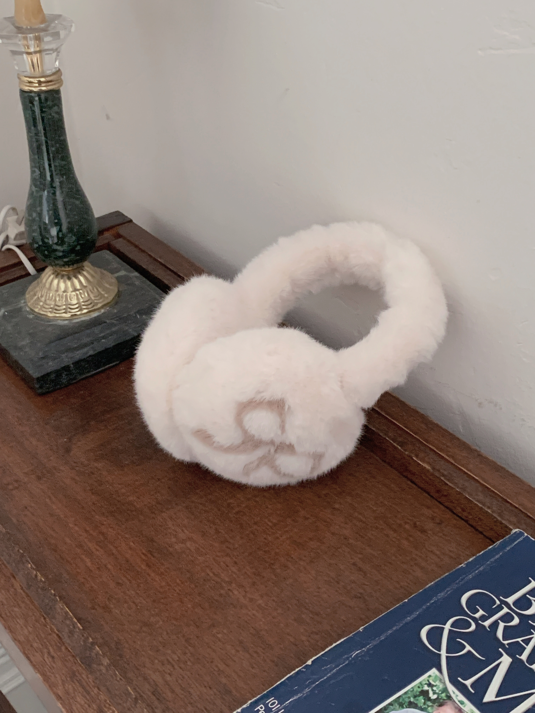 image_C86B1F77-78CE-4F98-9D66-9CBA1127C209_1765441963