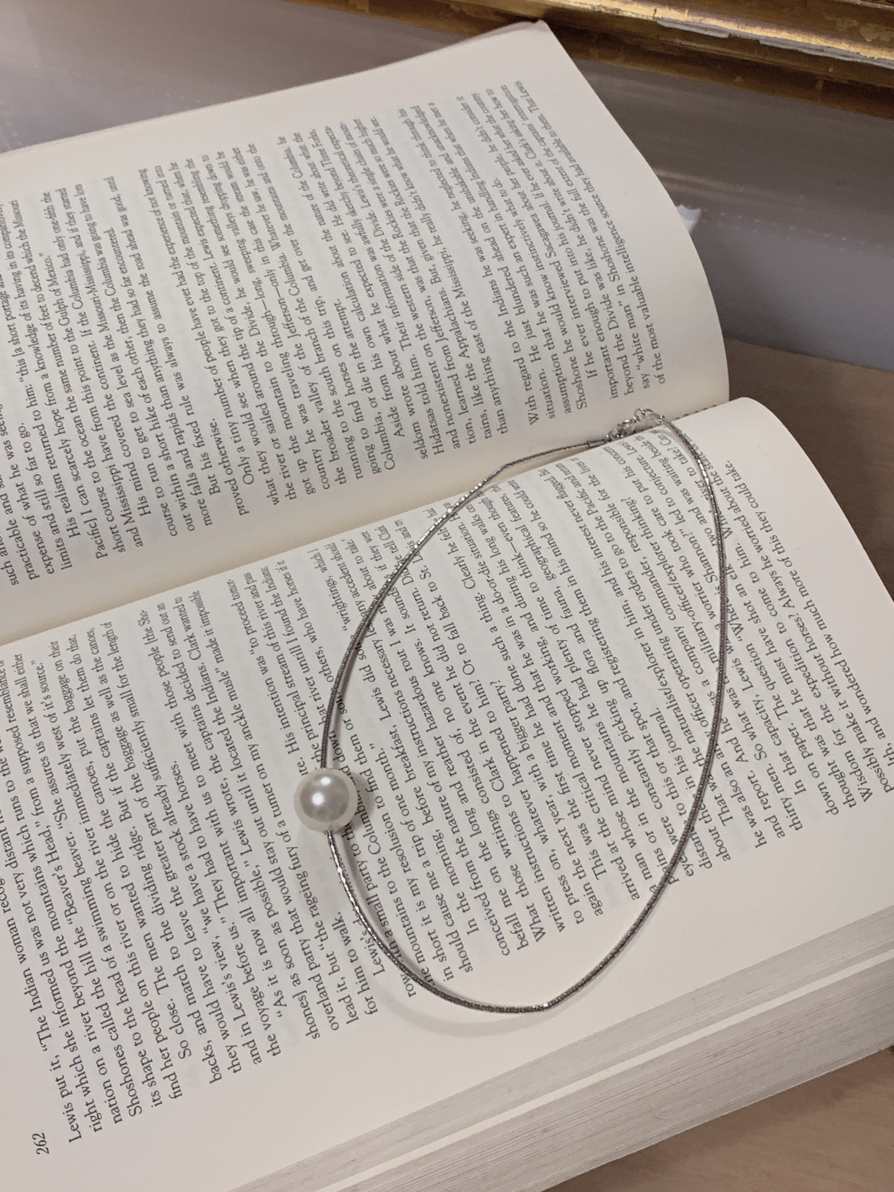 image_E940FF1B-2FCF-4EE9-97C9-C9AAB32BA161_1765527464