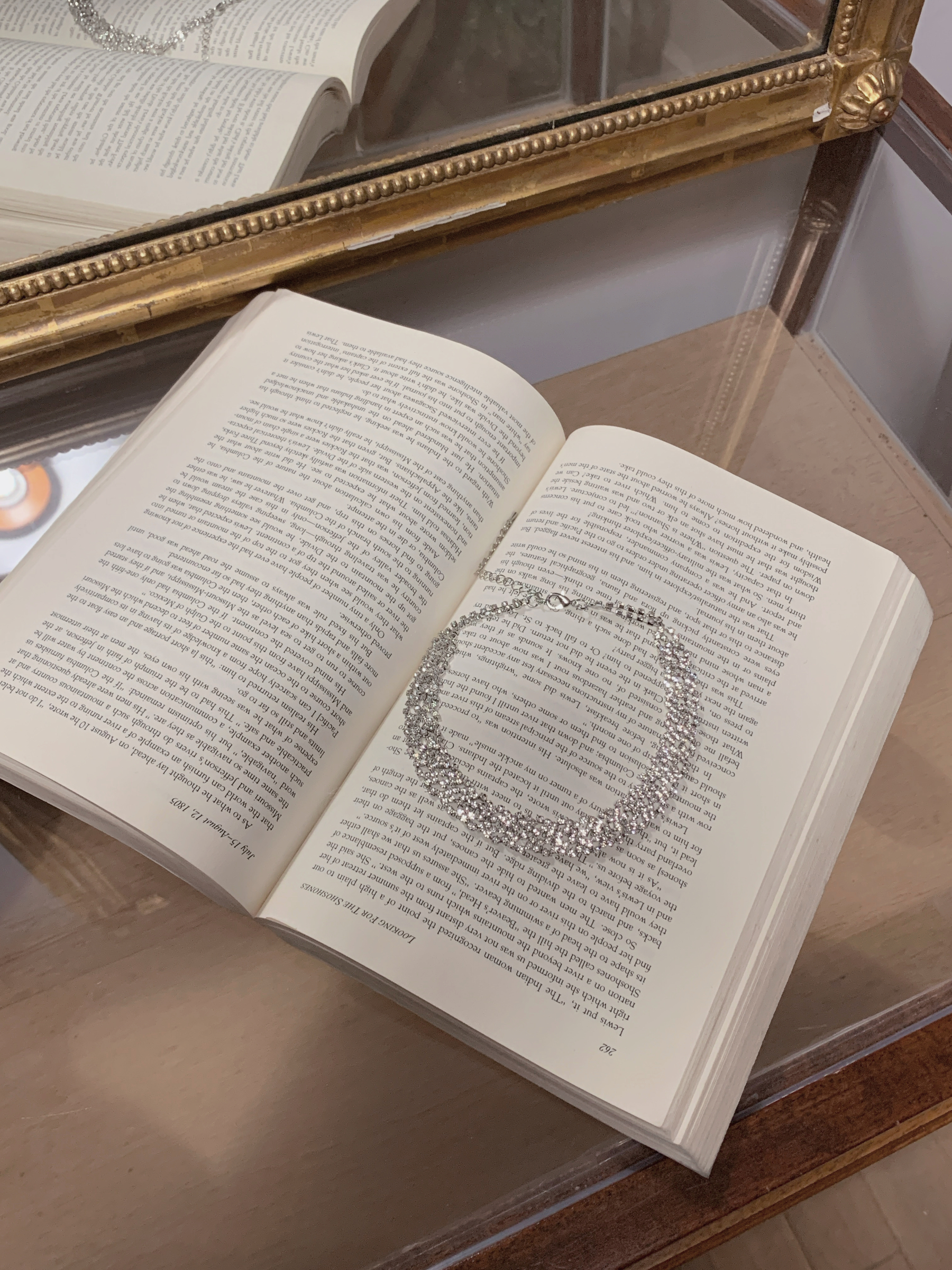 image_C73C1454-C293-4857-9E50-28A157D50772_1765527748