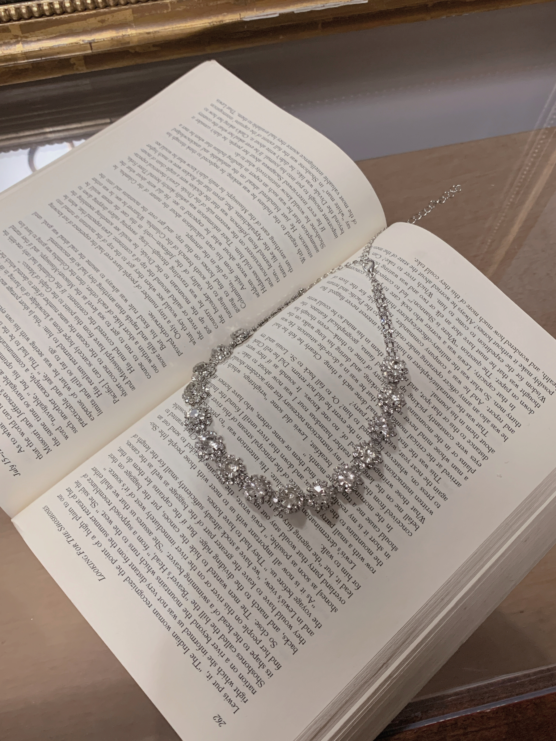 image_DA4D29BE-9AA8-4BE2-B435-C9D4295AD53C_1765527785