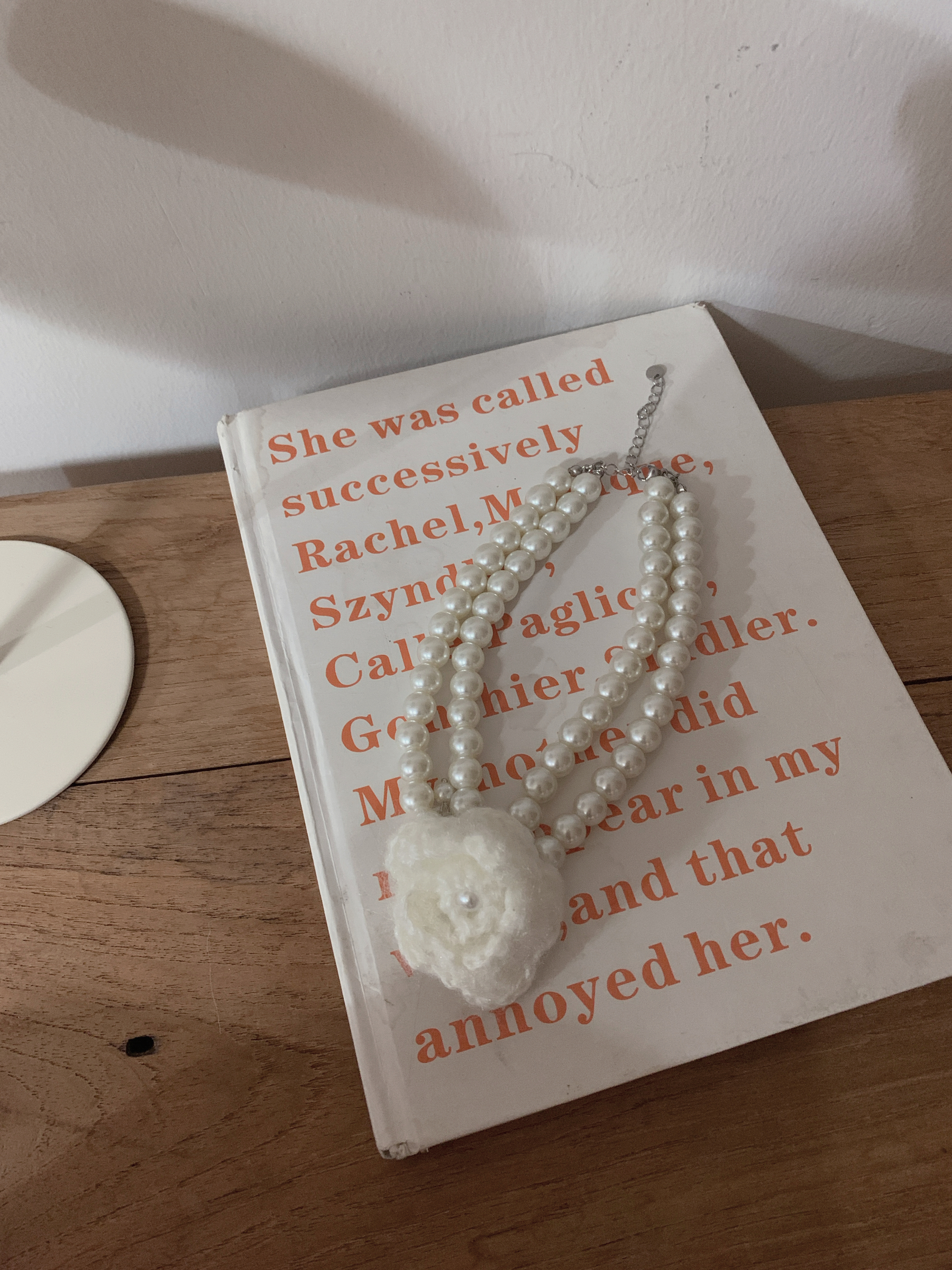 image_98CBBC5C-6A3E-4566-BA86-F1E30EAE39AA_1765527880