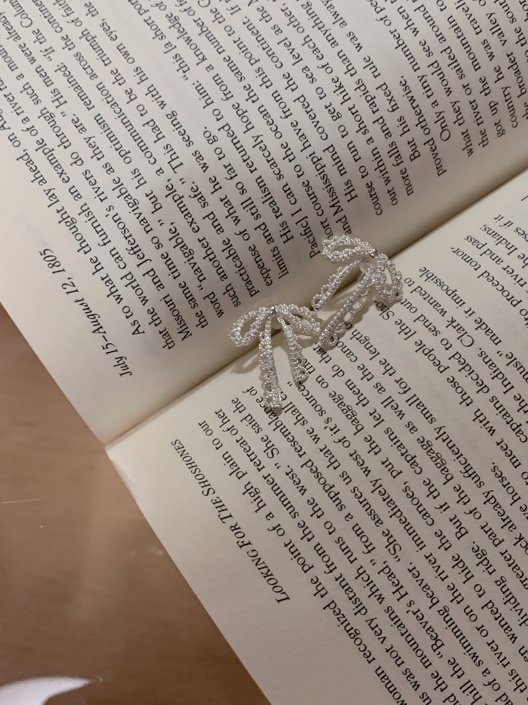 image_6A4C9E4E-01FE-4918-8D6B-DD4B2ADAE16B_1765527956