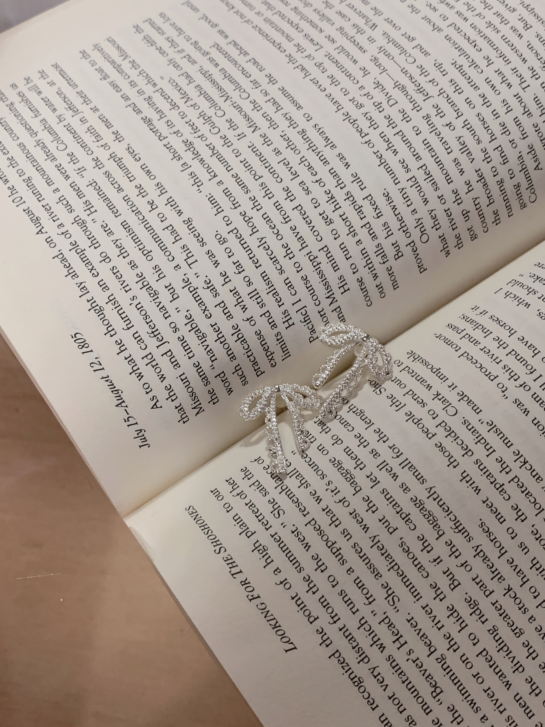 image_8F0ACA41-3C35-4CE5-9D53-B4C3B57430F8_1765527956