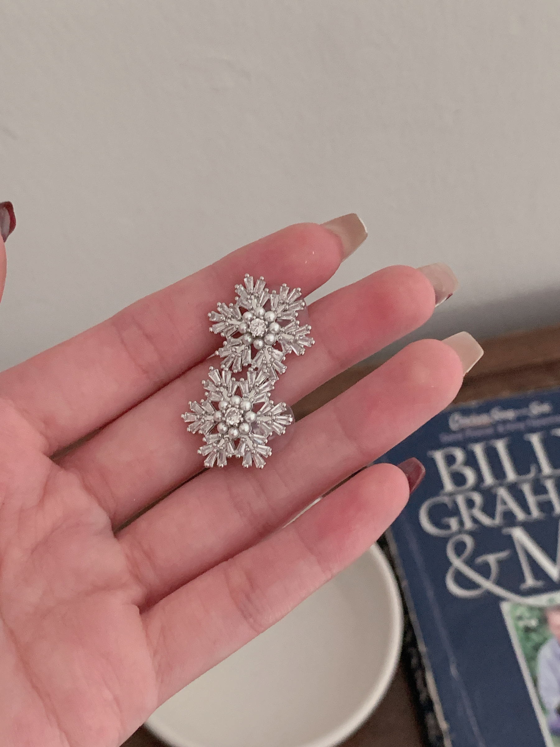 image_29E34F62-6816-483D-9B75-838C73A4AD08_1765528010