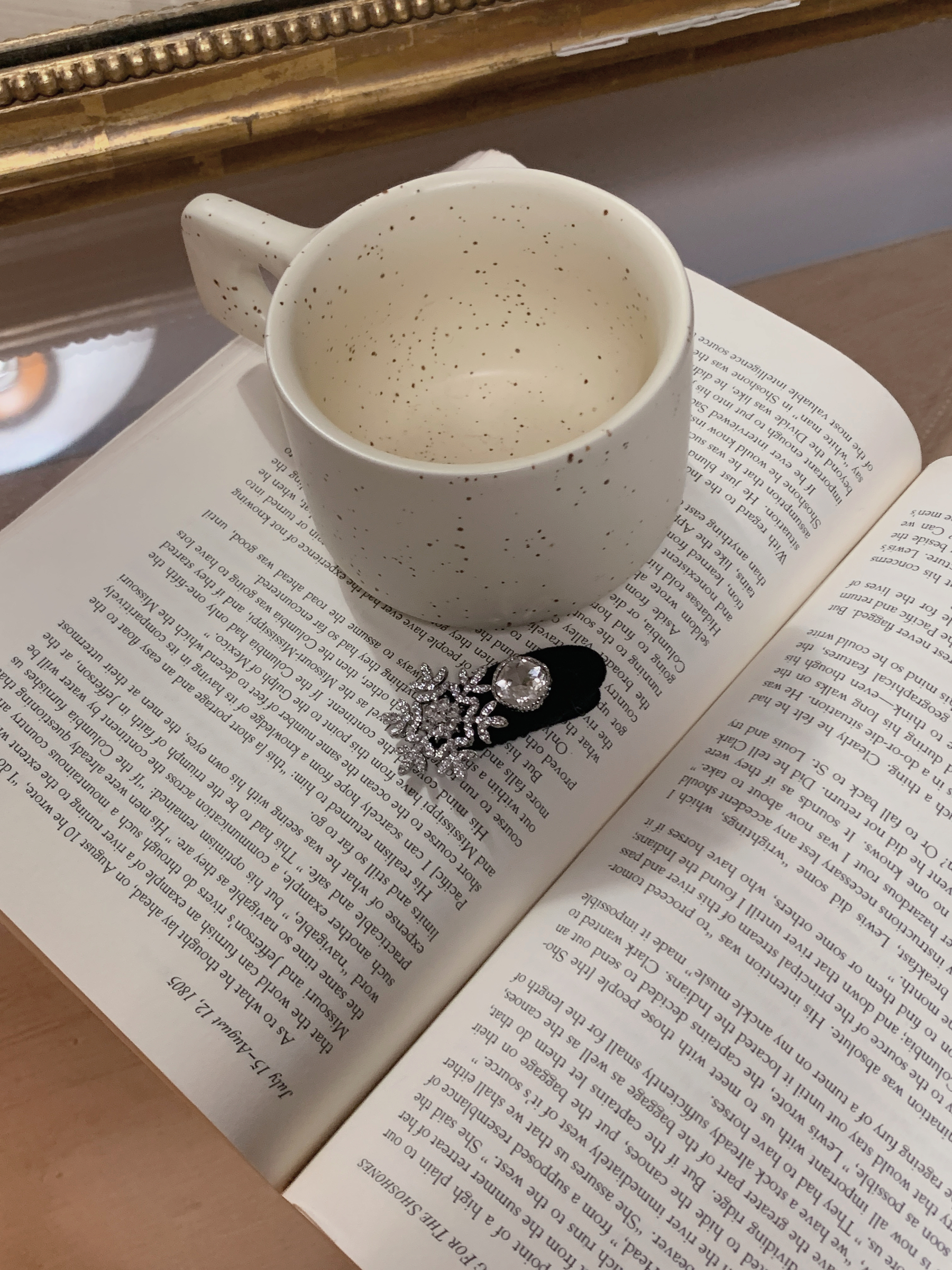 image_94046A72-8A72-40E7-B655-F4DB235C4687_1765528077