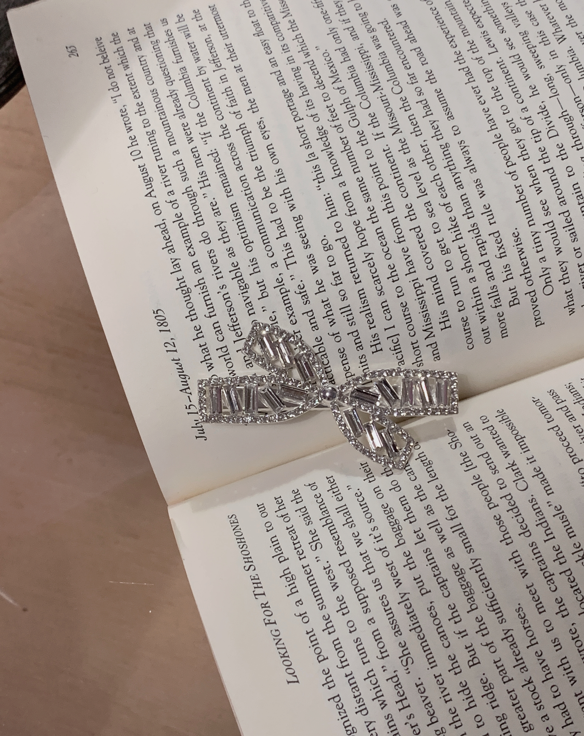 image_C2A185BE-12C5-470C-BA71-1FDC5BDAC196_1765528117