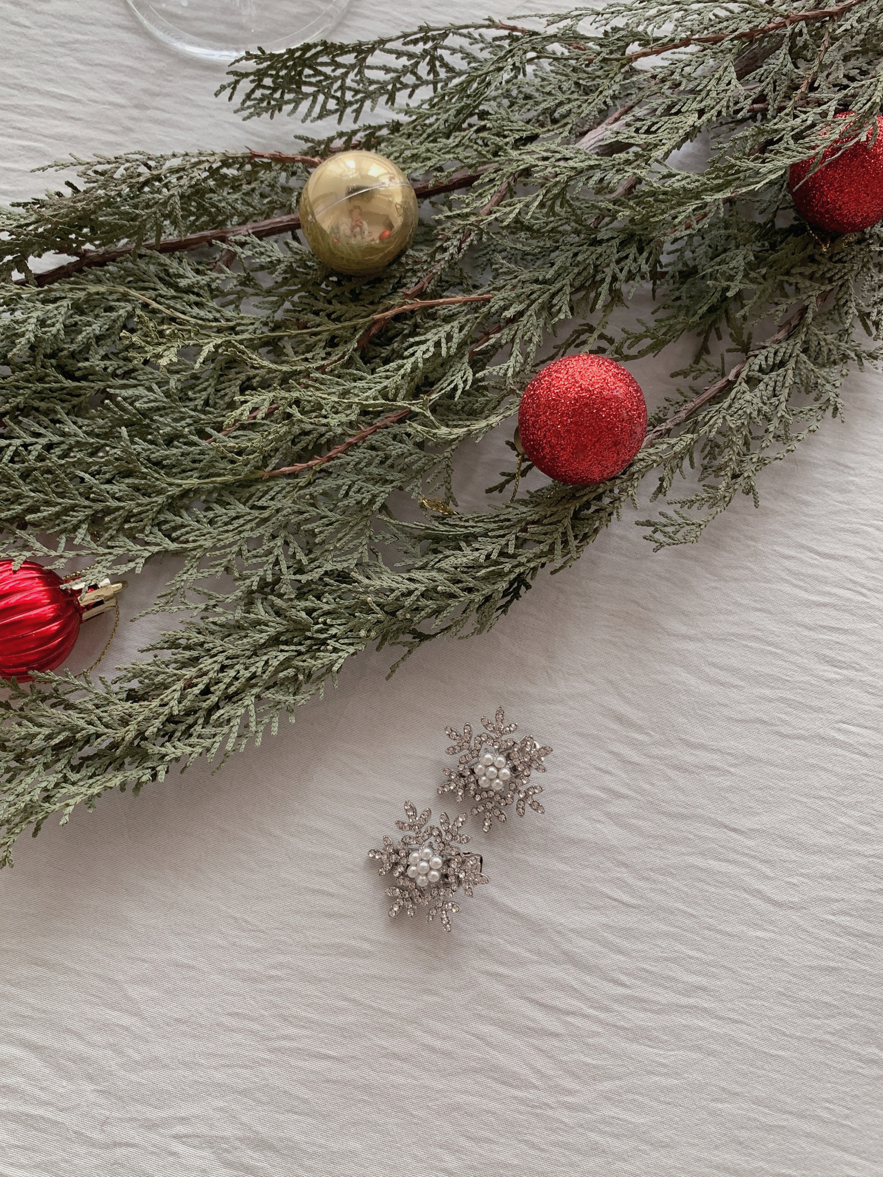 image_E09AEA53-02B8-4F66-824B-EABB76312C7B_1765529148