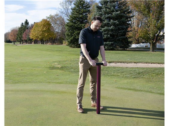 TDR250_uncropped_copy