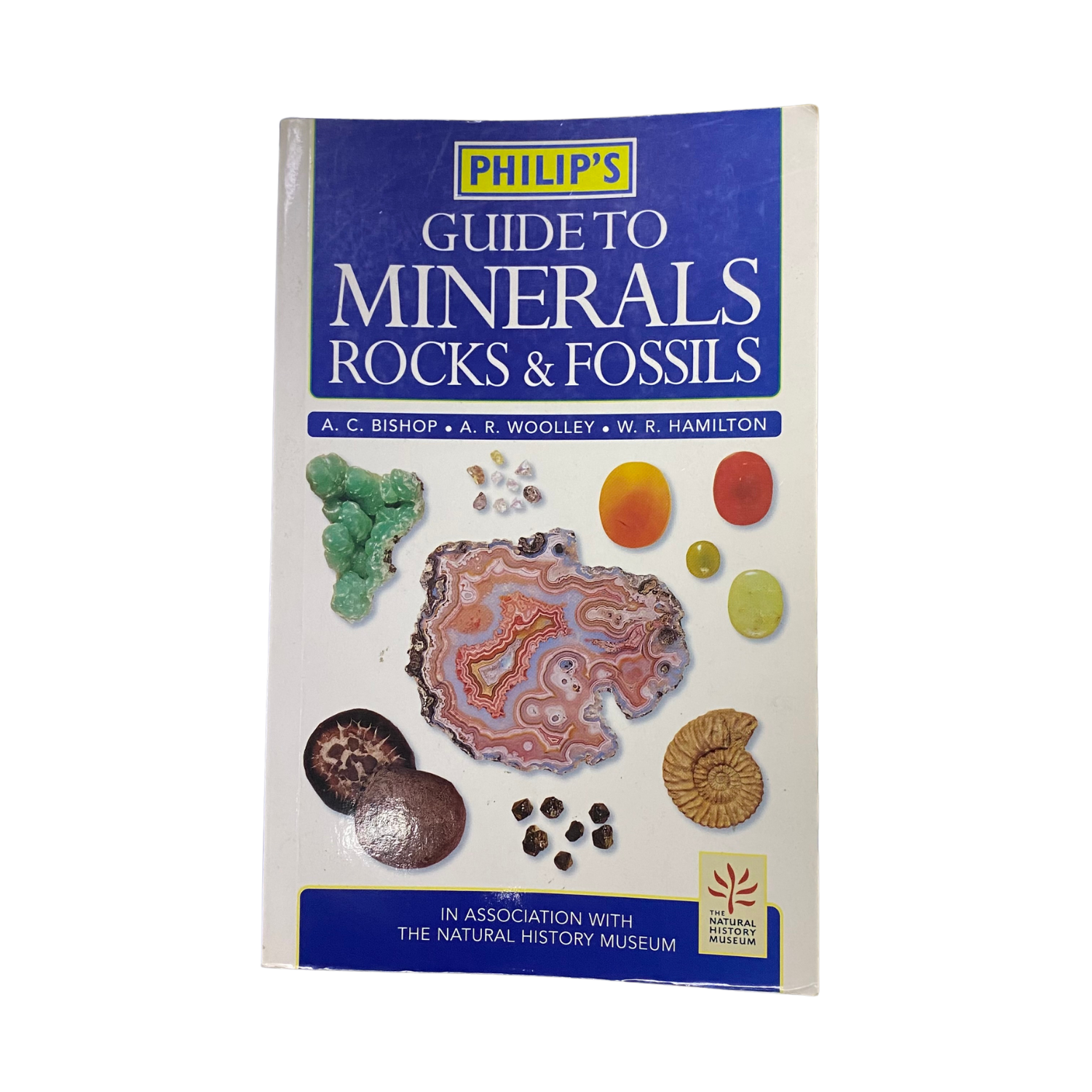 guide to minerals rocks & fossils 1 .png