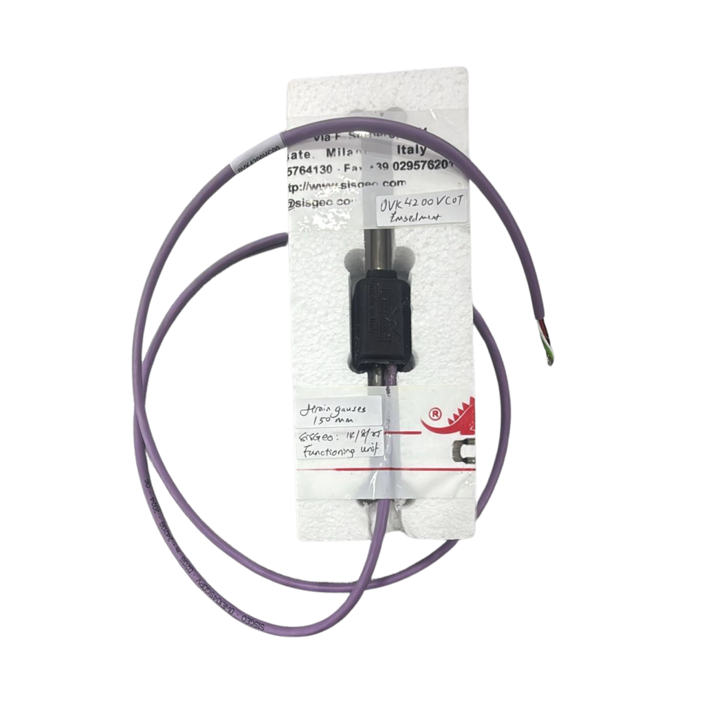 sisgeo strain gauge
