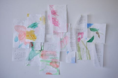 image_8F1244F7-69A0-4834-B2FA-7EECED3E16A2_1760450248