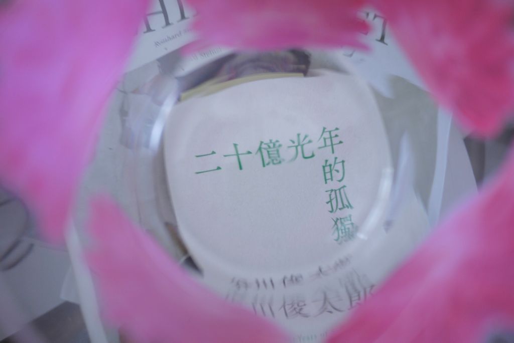 image_27D4F9E9-229D-445B-BB86-2E71B6558A4D_1760941832