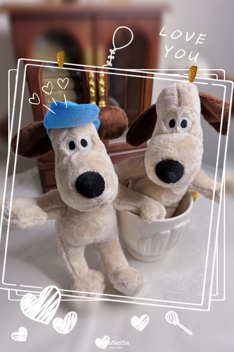 IMG_5575-1697520152306