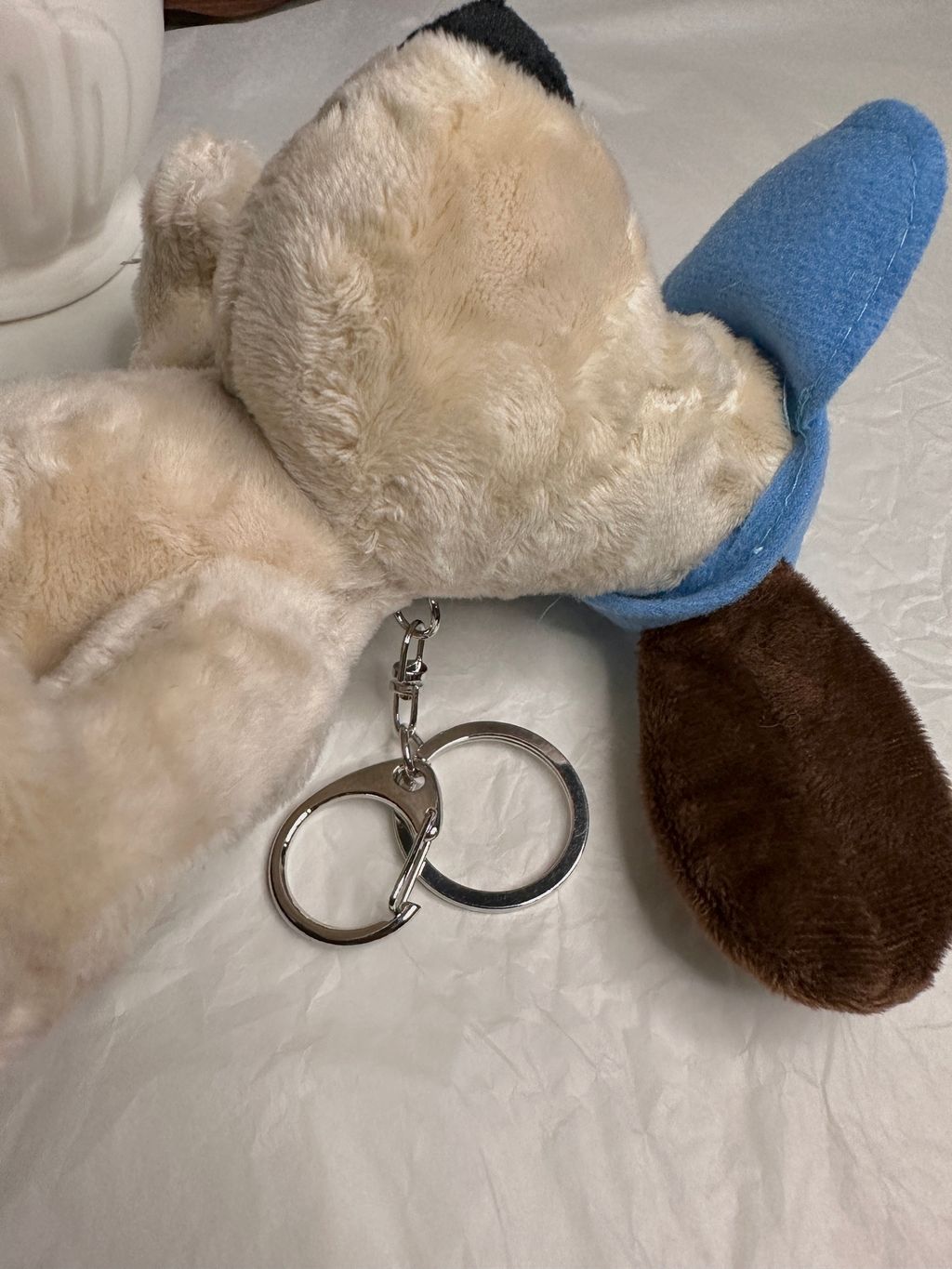 IMG_5572-1697520152331