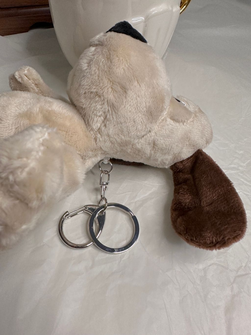 IMG_5570-1697520152346