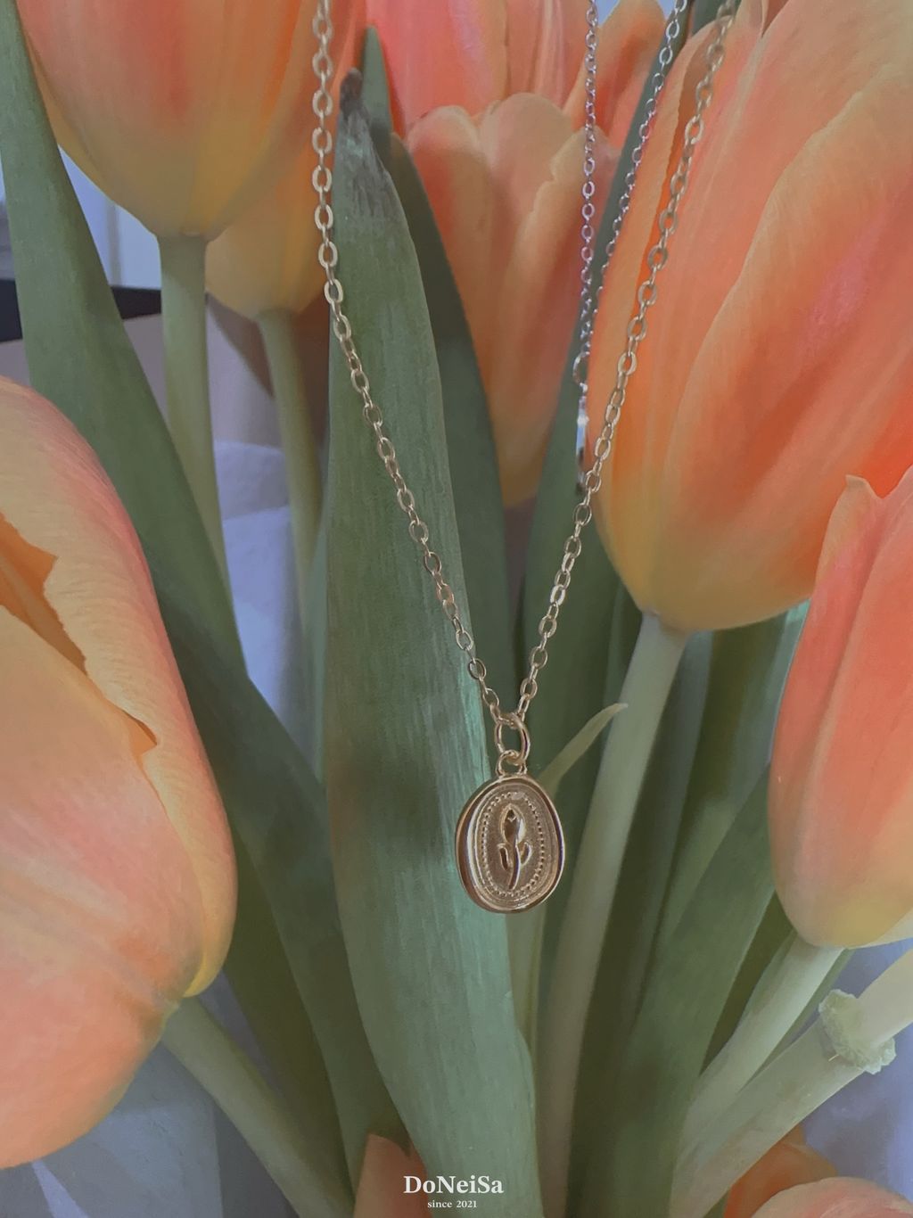 IMG_6726-1698912910327