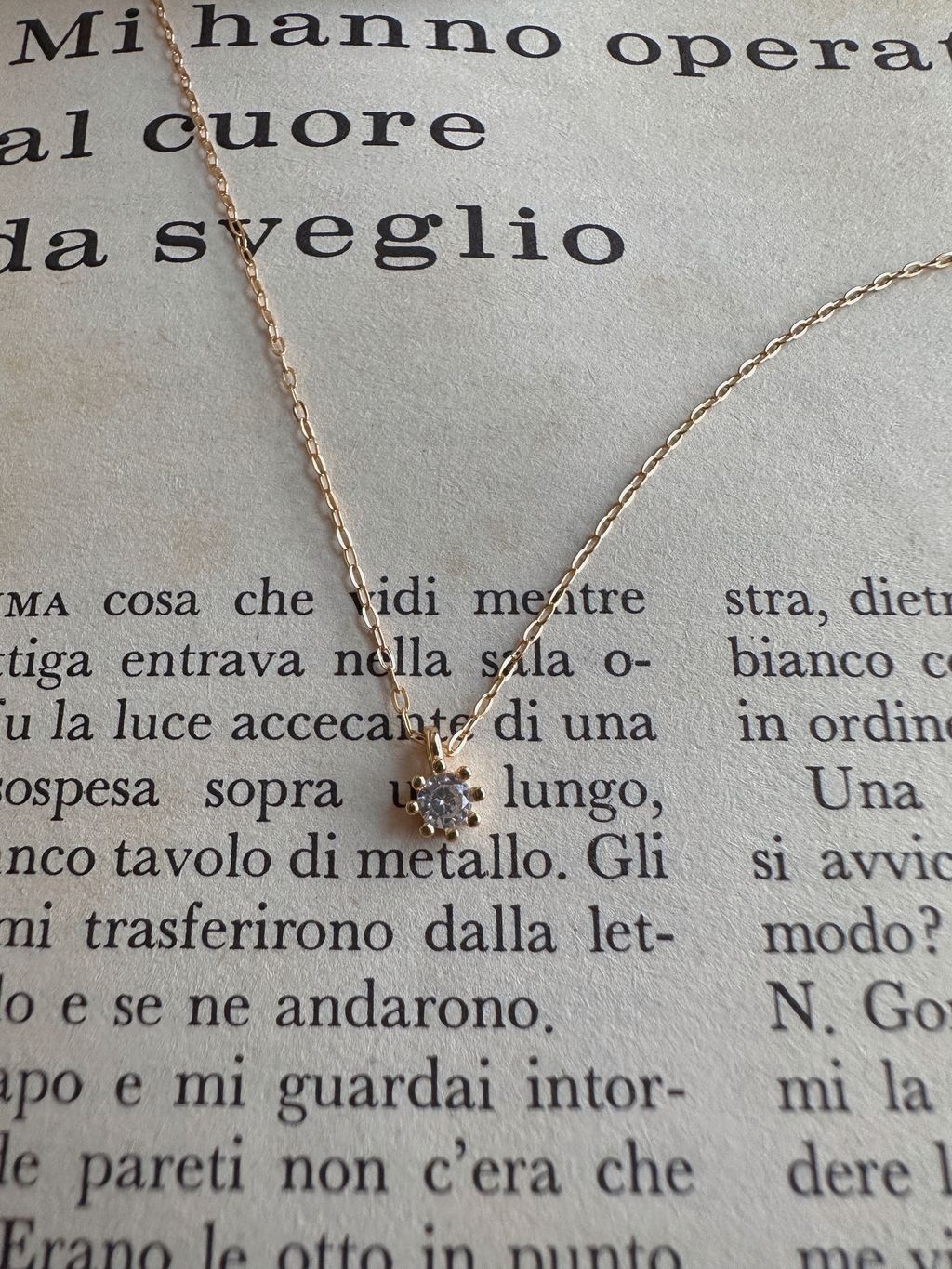 IMG_1306-1702449313676