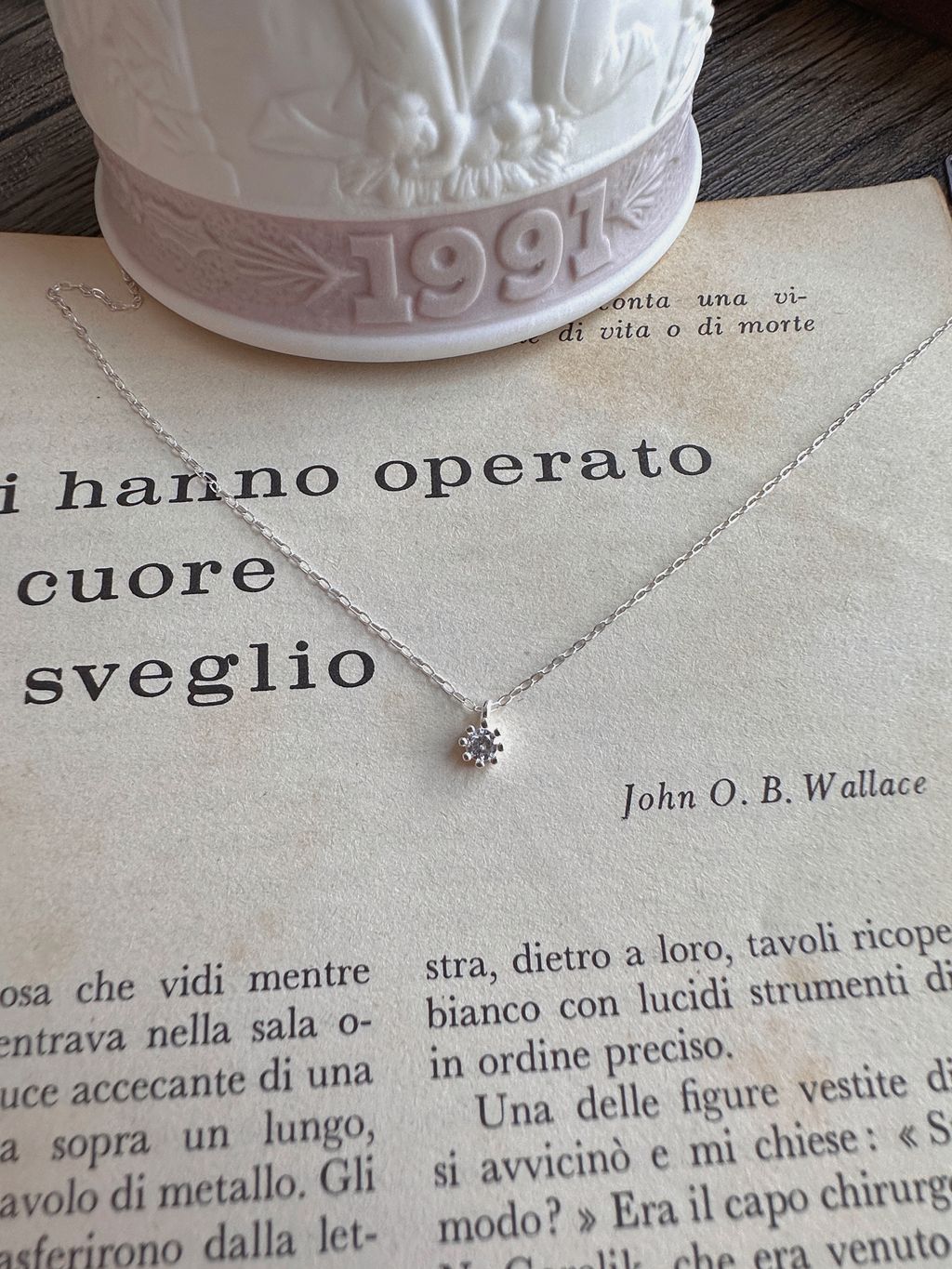 IMG_1304-1702449313701