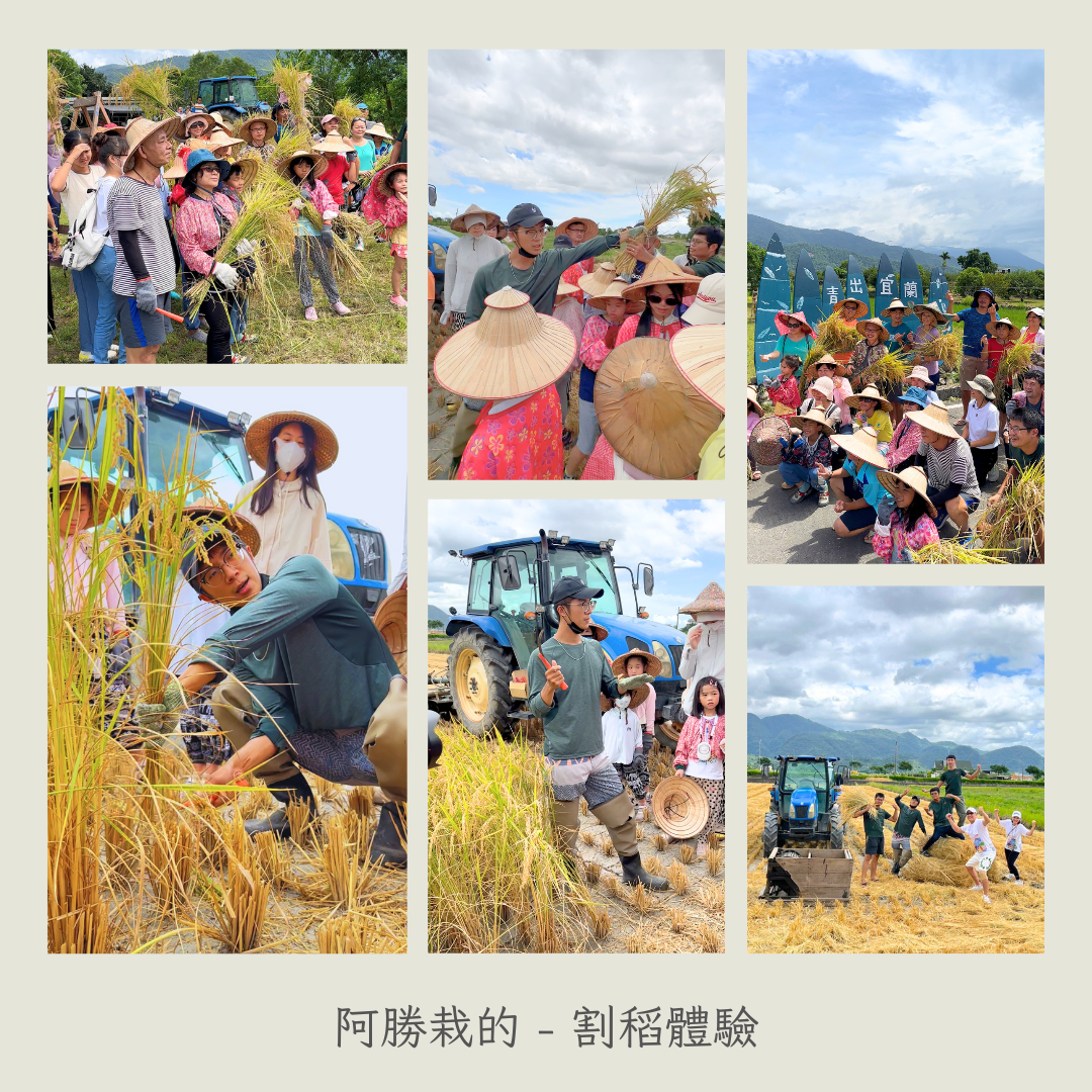盡情享受大自然