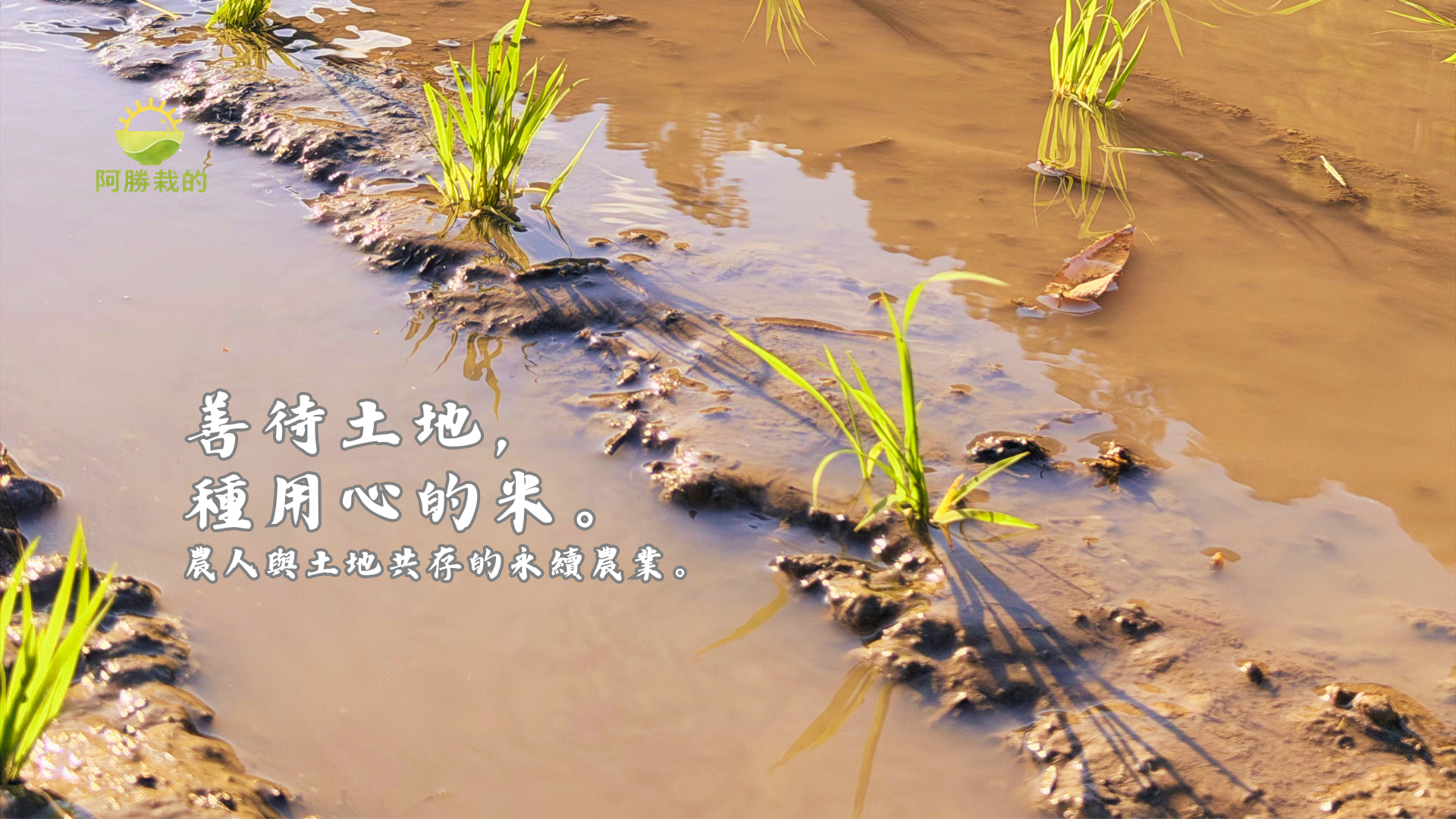 land1