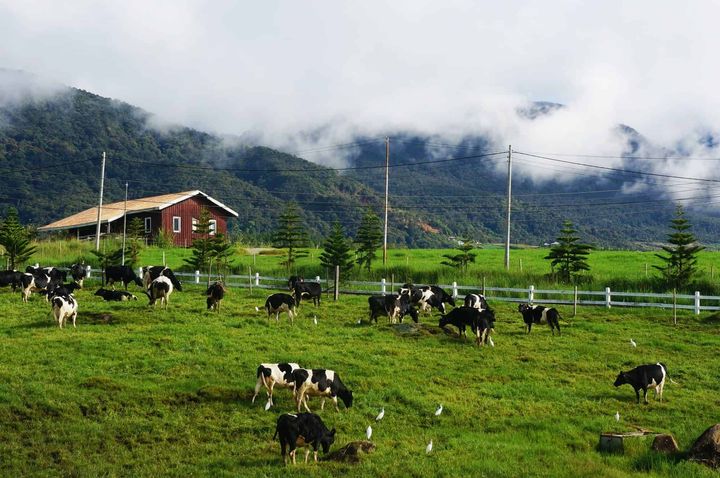 Bigfoottraveller-Kundasang-24