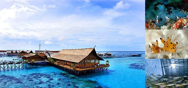 kapalai-mabul-view