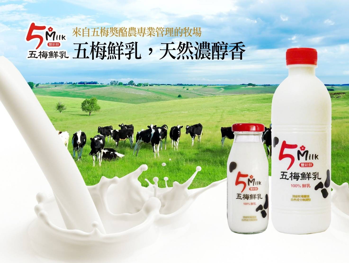 豐新鮮奶舖 | 商品目錄 - 5MILK五梅鮮乳