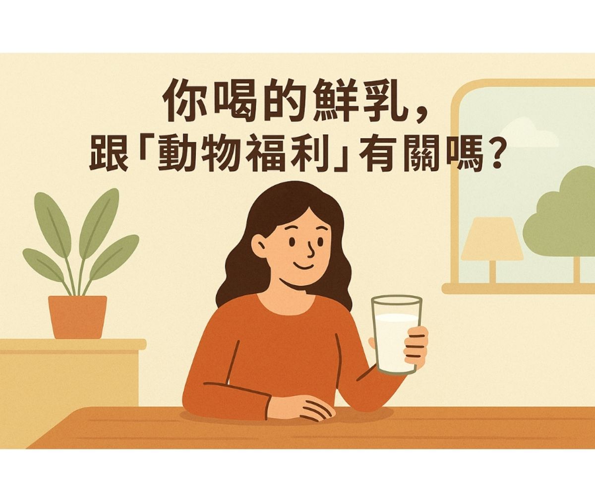 你喝的鮮乳,跟「動物福利」有關嗎?