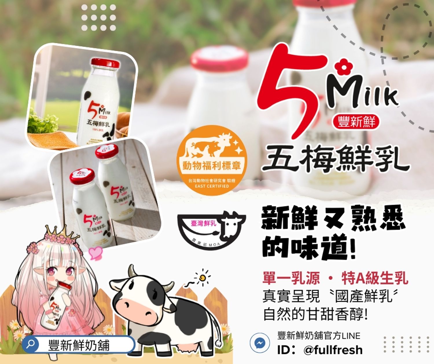 豐新鮮奶舖 - 《〝五梅鮮乳〞單一牧場、超越A級生乳的品質》