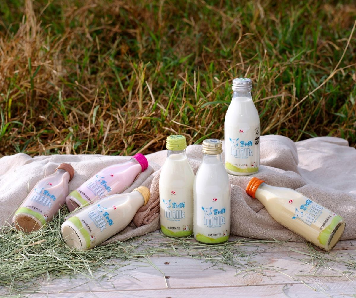 2026 羊乳知識大補帖:10 個你一定要知道的羊奶小知識(營養、吸收與挑選)