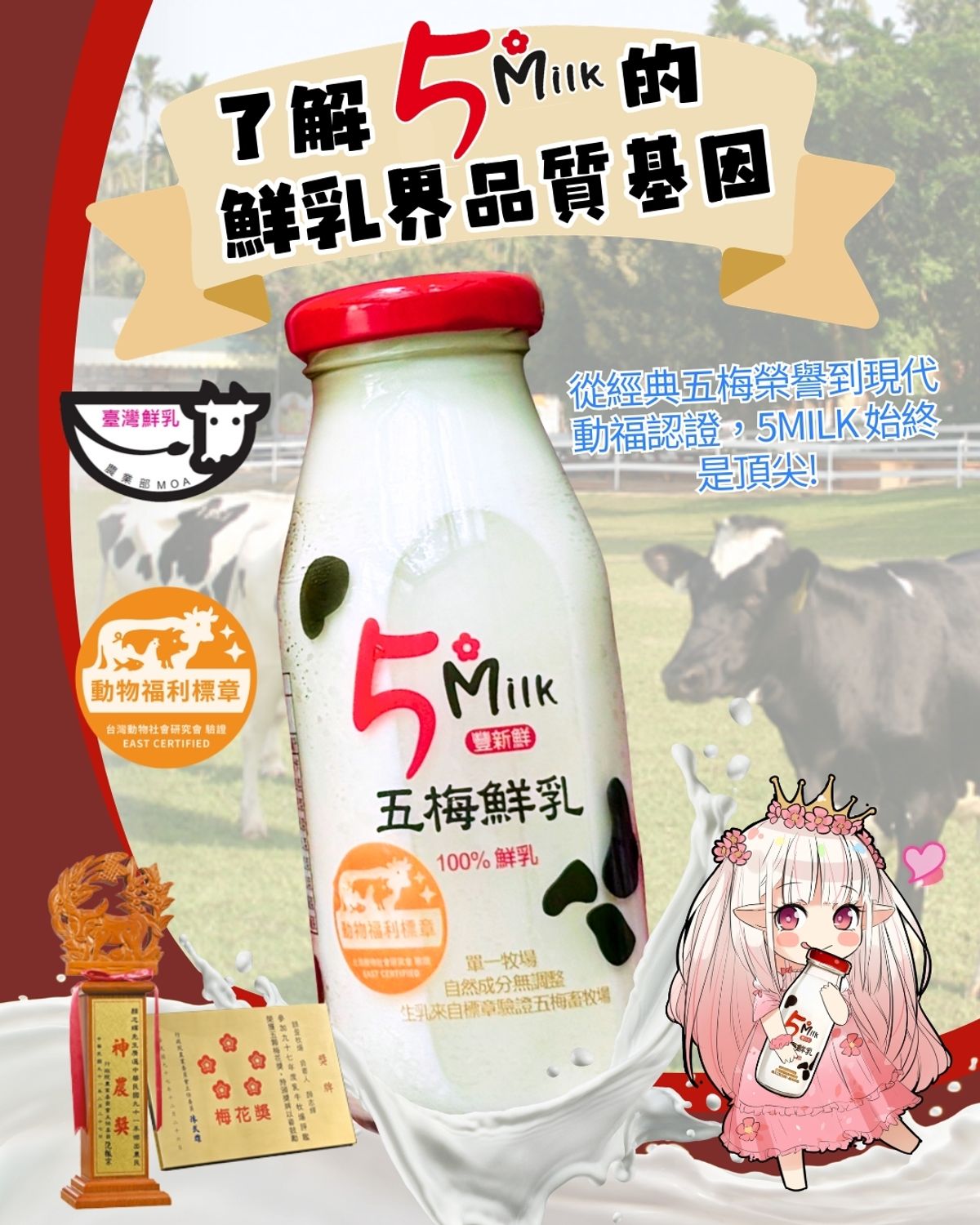 深度解碼 5MILK 五梅鮮乳的品質基因!!