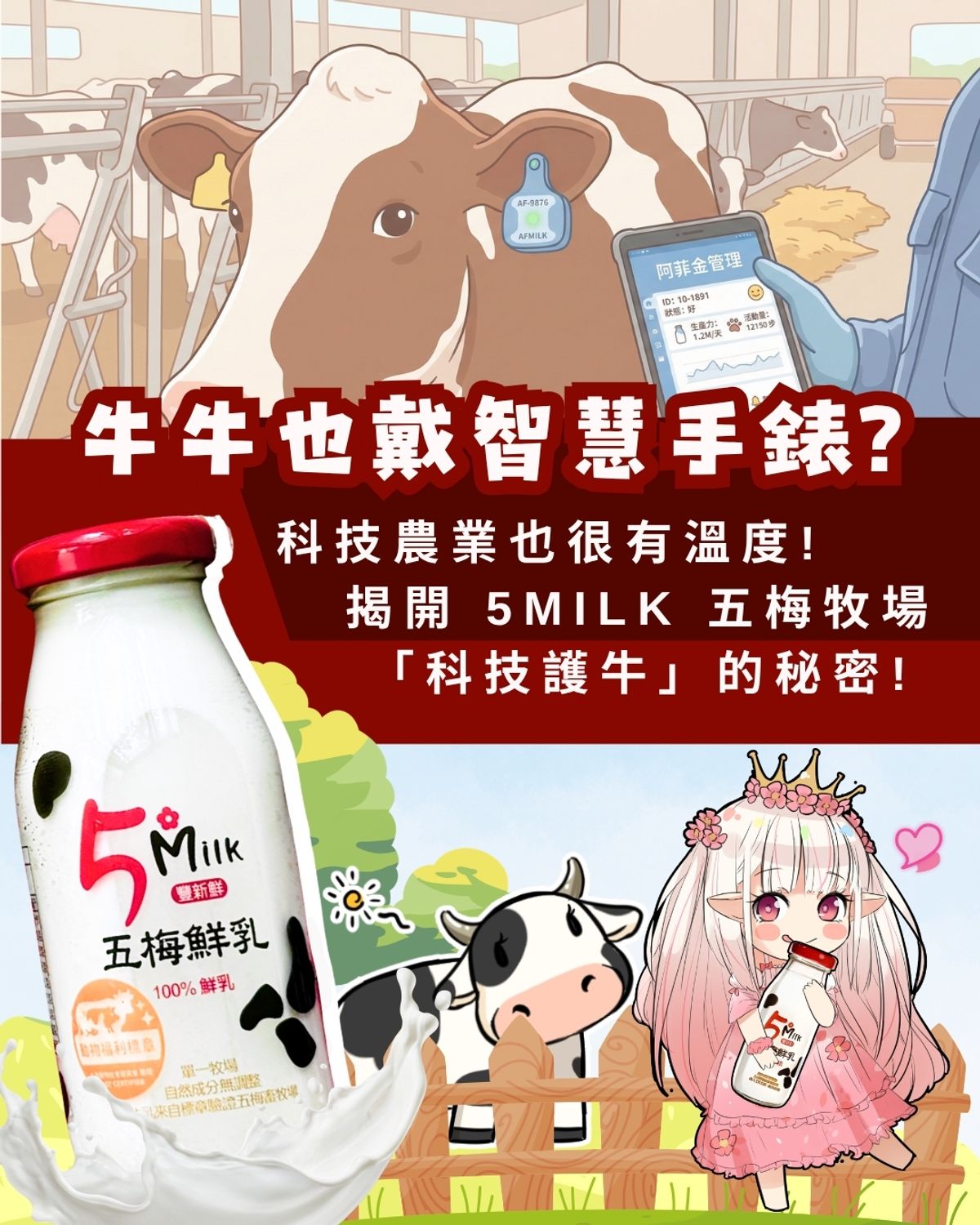 不只是自動化：五梅牧場如何用Afimilk 阿菲金牧場管理落實動物福利？