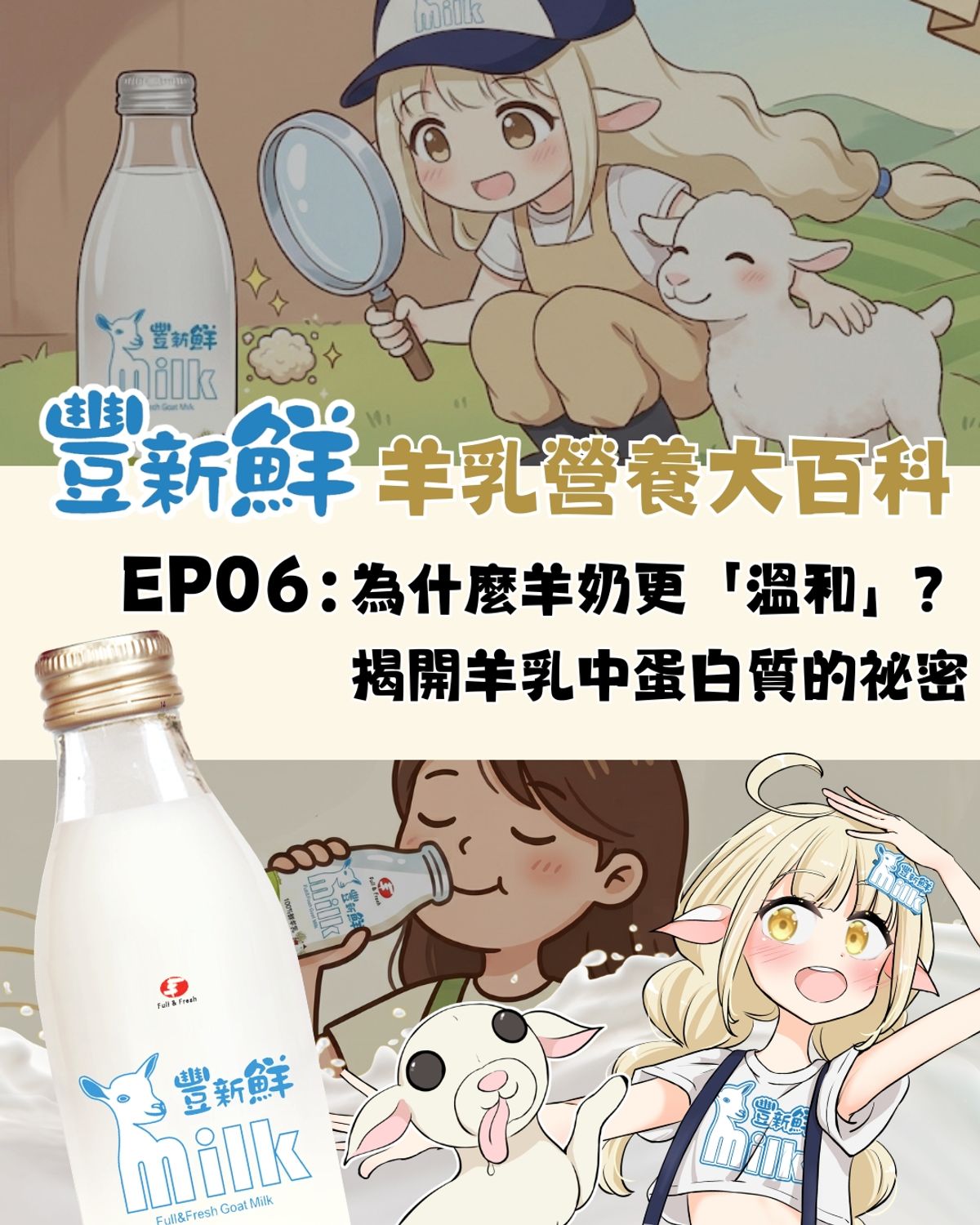 【 🐐 豐新鮮：2026 羊乳營養大百科 】 EP06｜為什麼羊奶更「溫和」？揭開羊乳中蛋白質的祕密！🔍