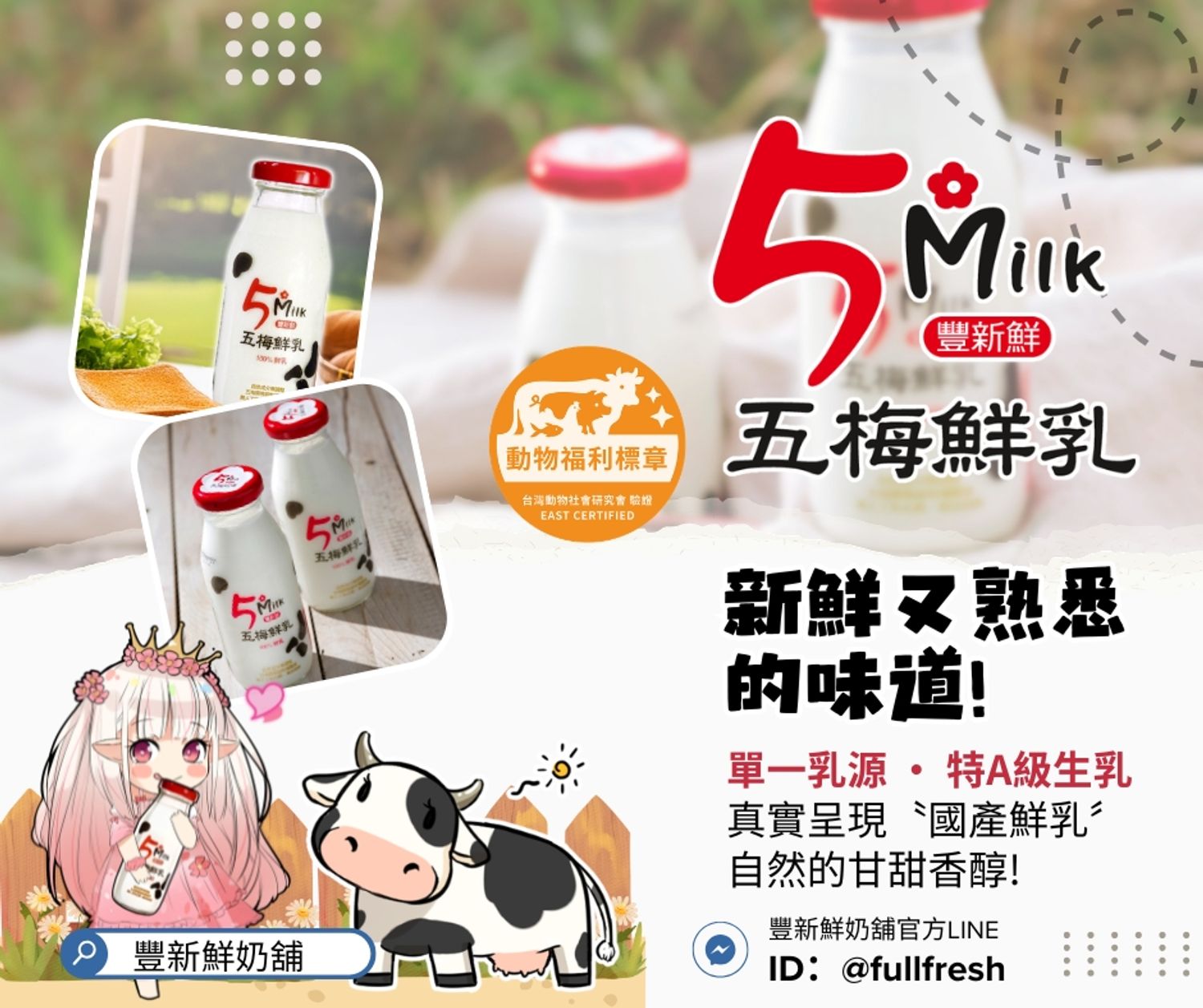 豐新鮮奶舖 - 《〝五梅鮮乳〞單一牧場、超越A級生乳的品質》