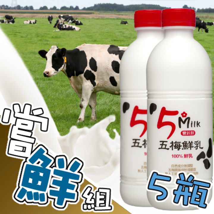大牛奶五瓶