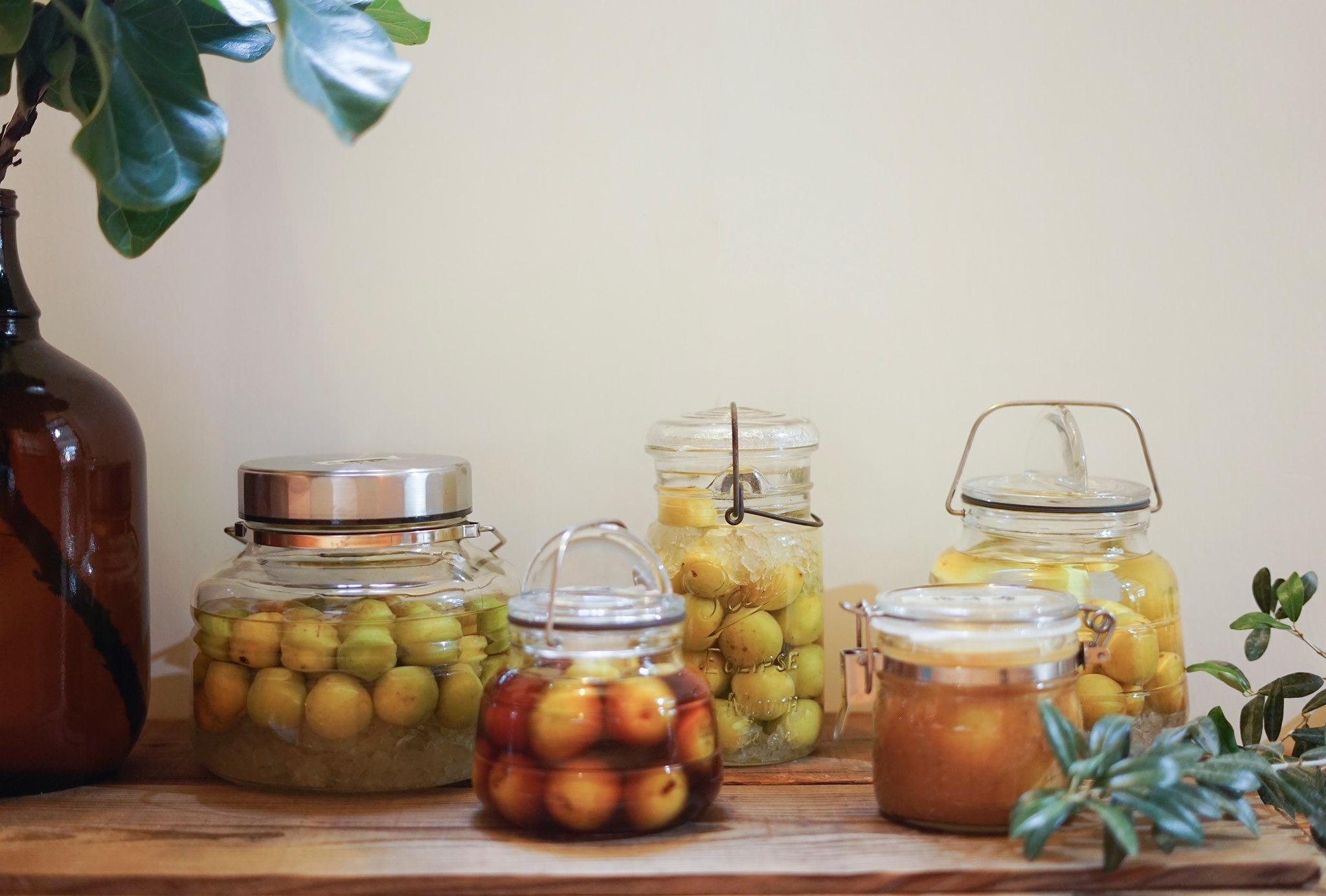 332454347_1652282045222616_8556978742183686140_n (1)