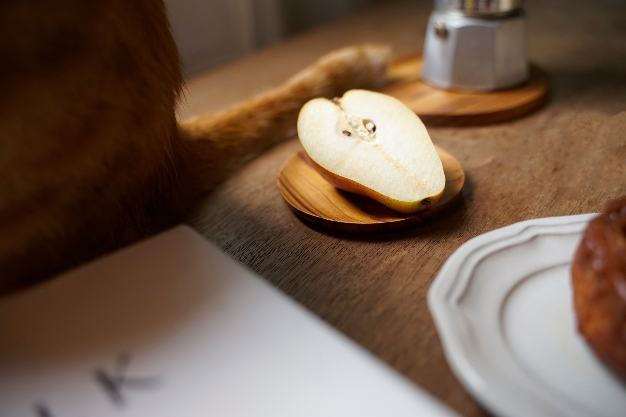 508987279_30865086009745378_2719734434663185458_n