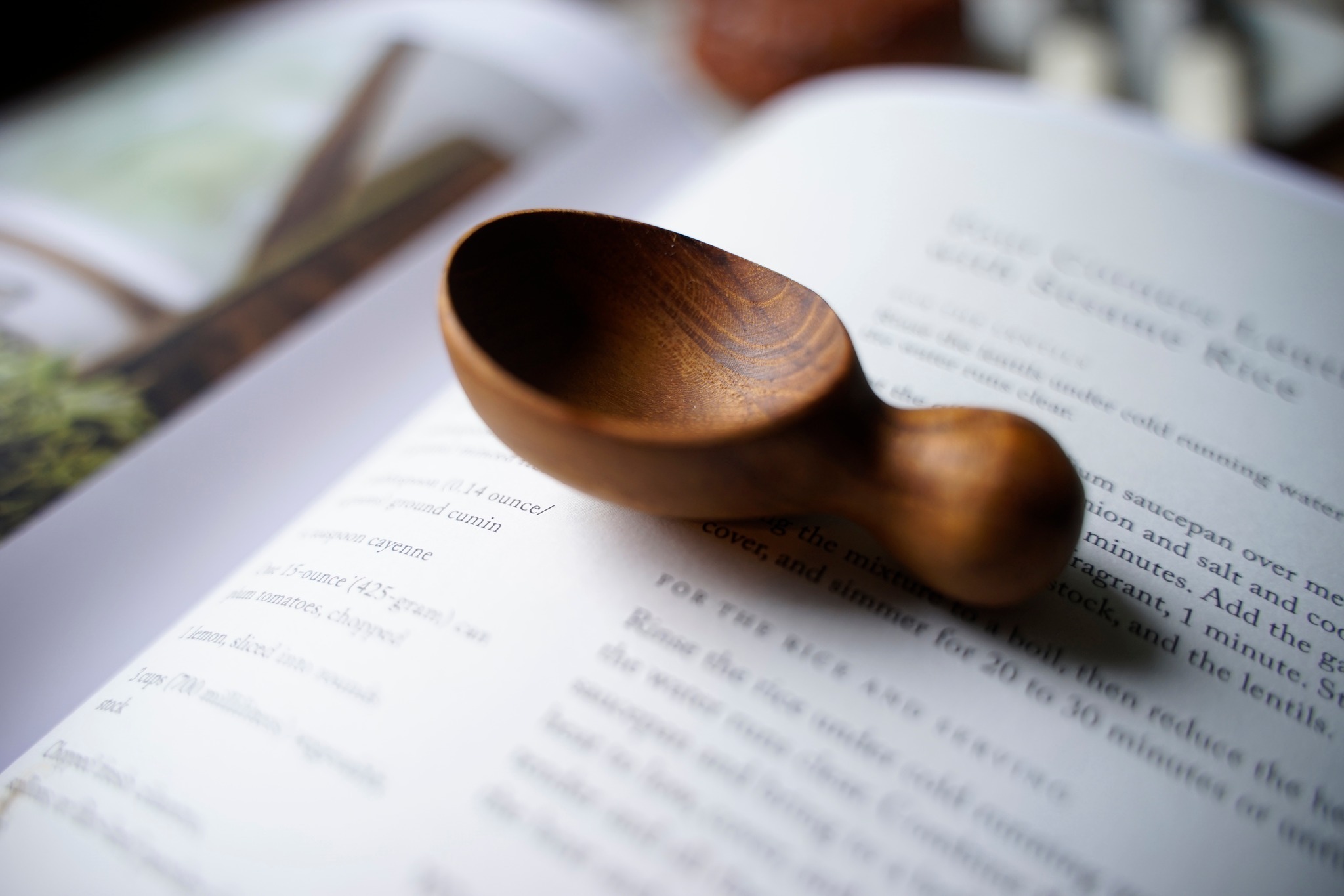 506854011_30820877767499536_205649911968799232_n