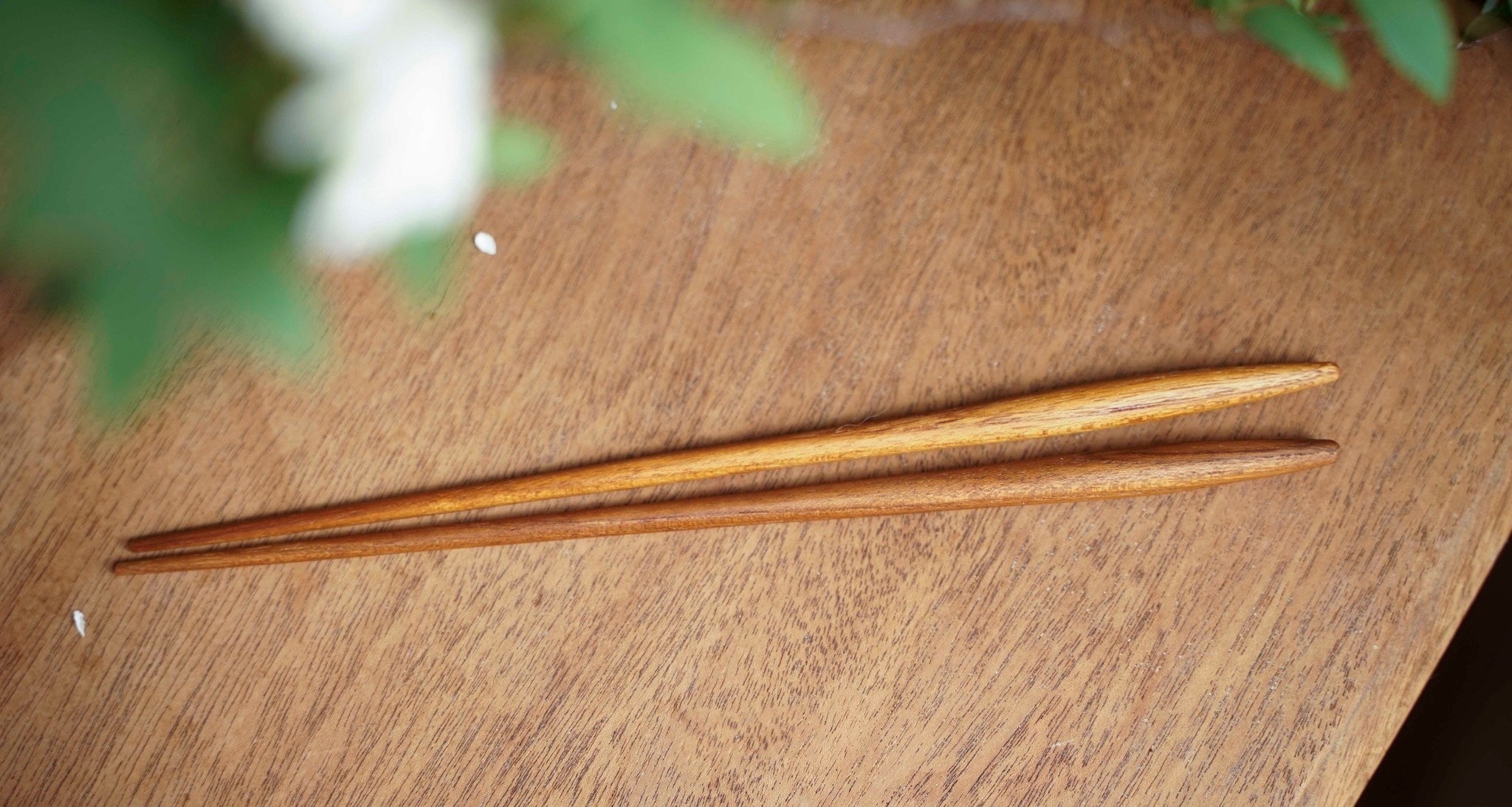 503256050_30643905488530099_3590478413592415732_n (1)