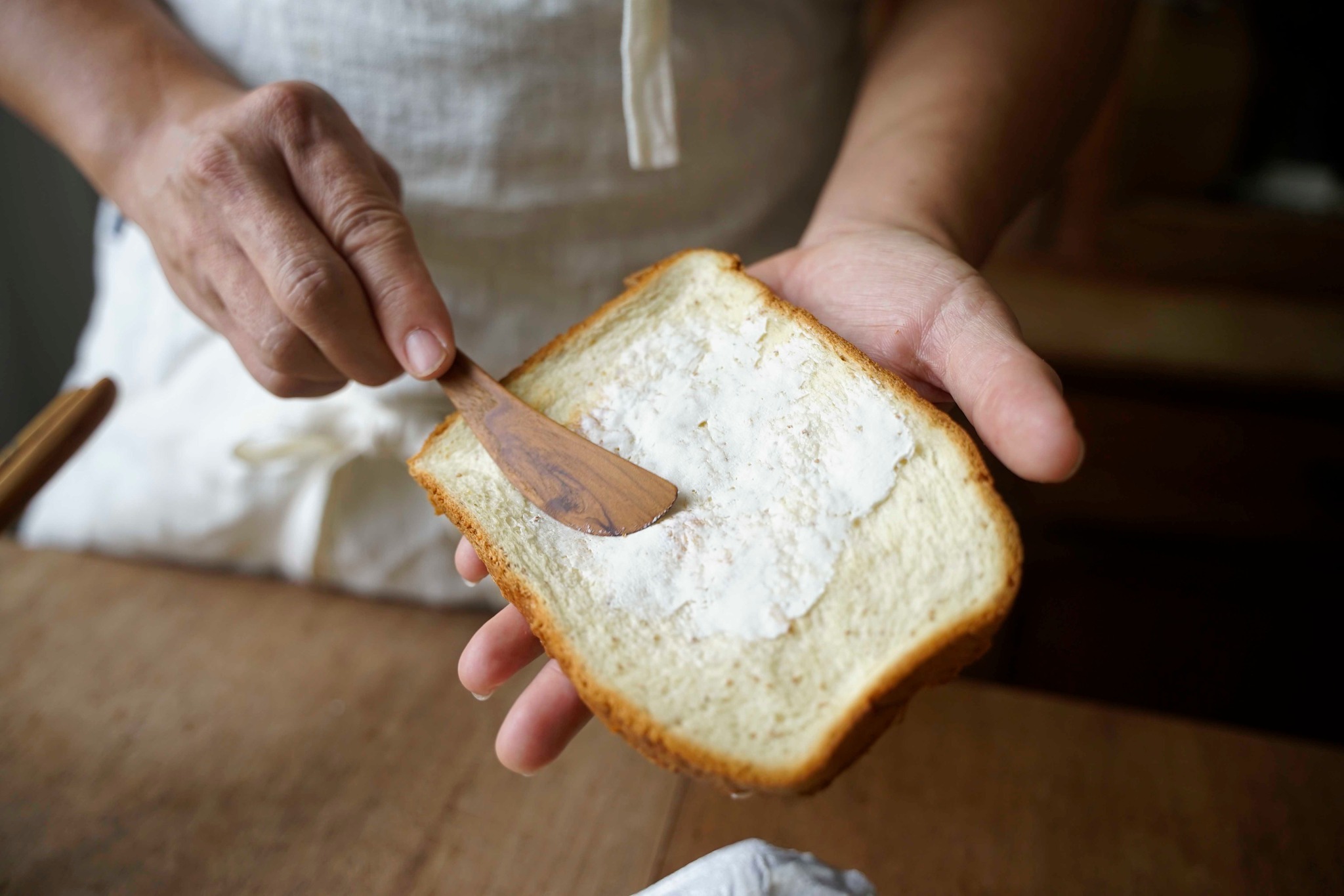 492050900_30068409336079720_8244985582652033128_n